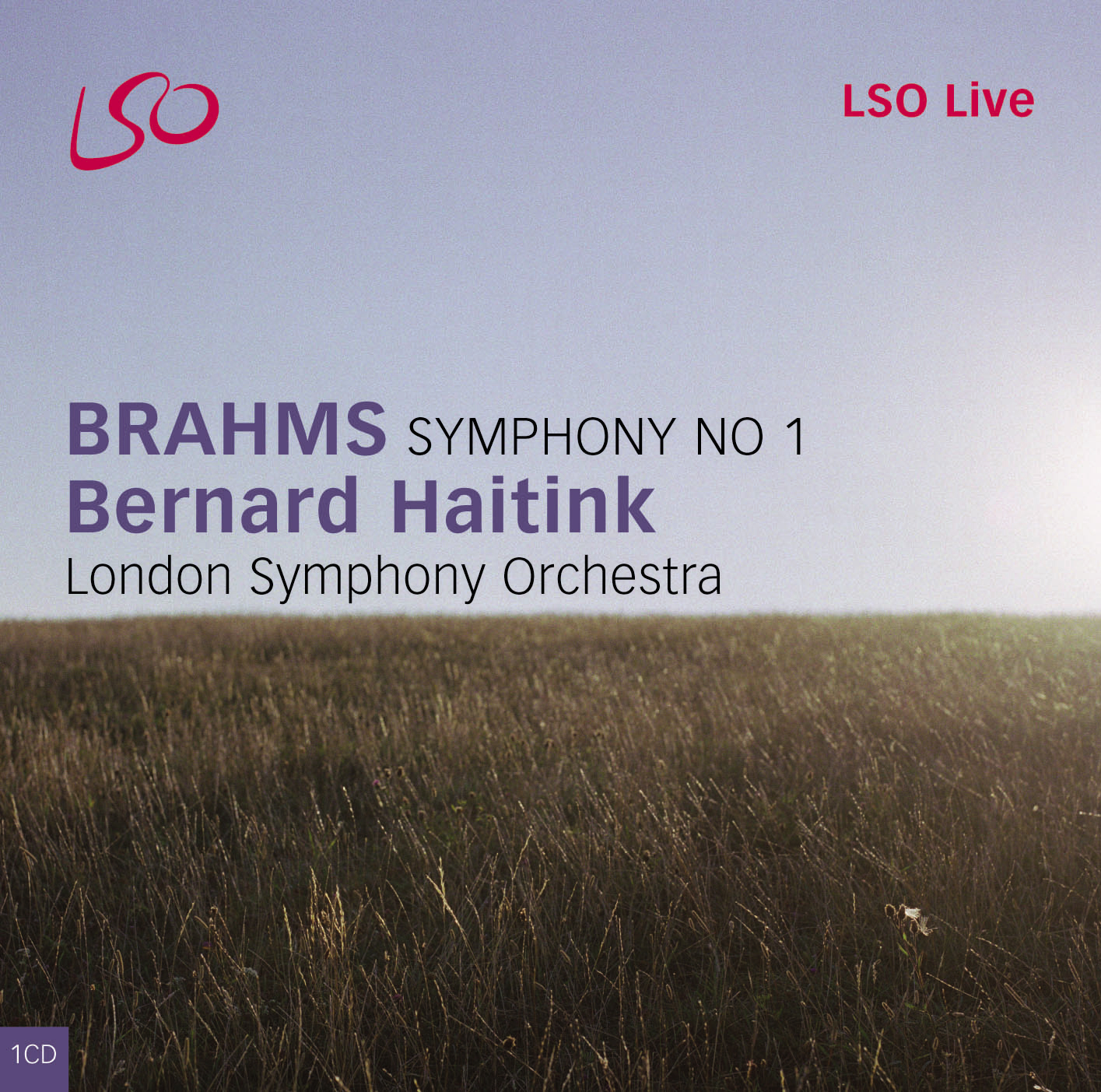 Cover: Symphony 1