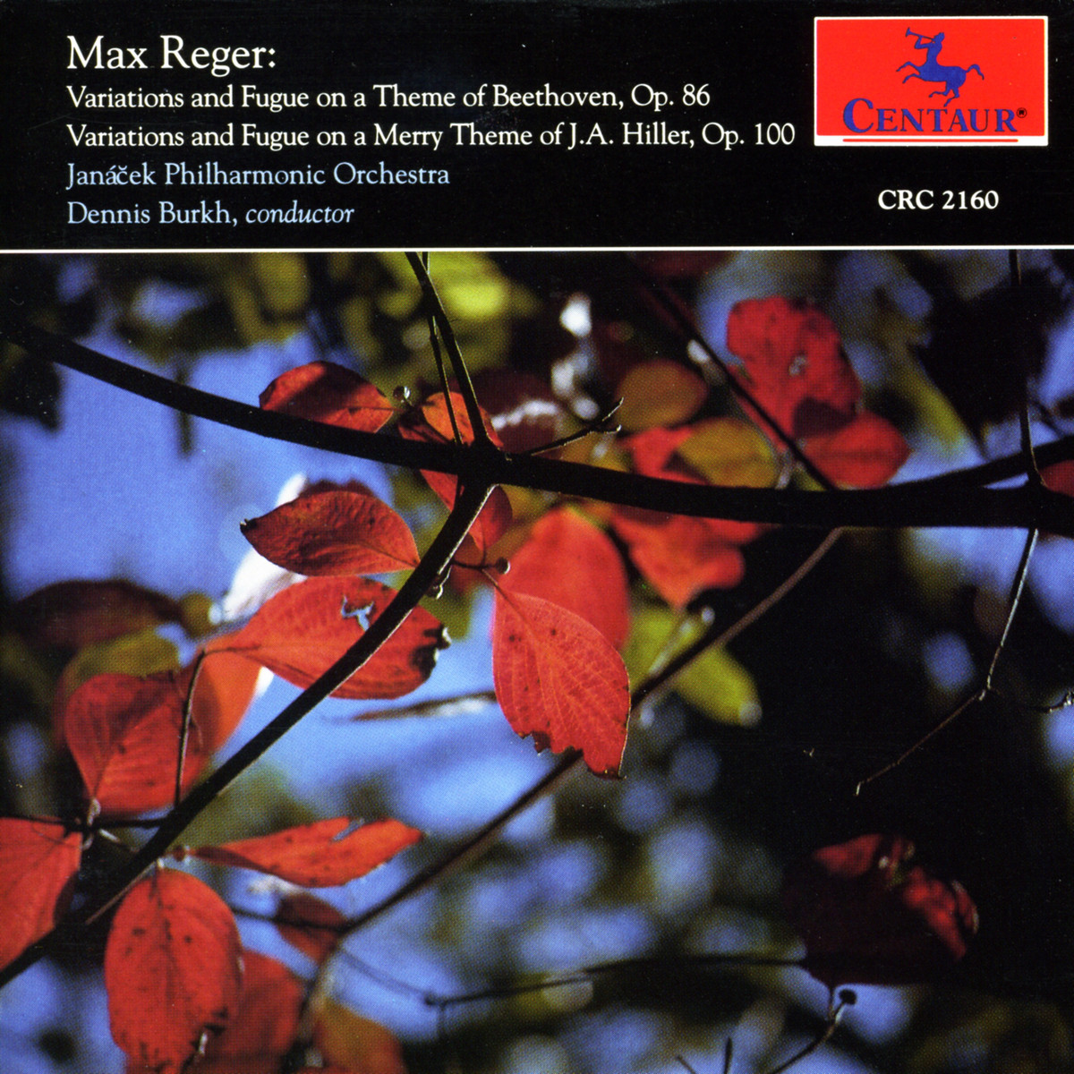 Cover: Beethoven Variations/Hiller Variations