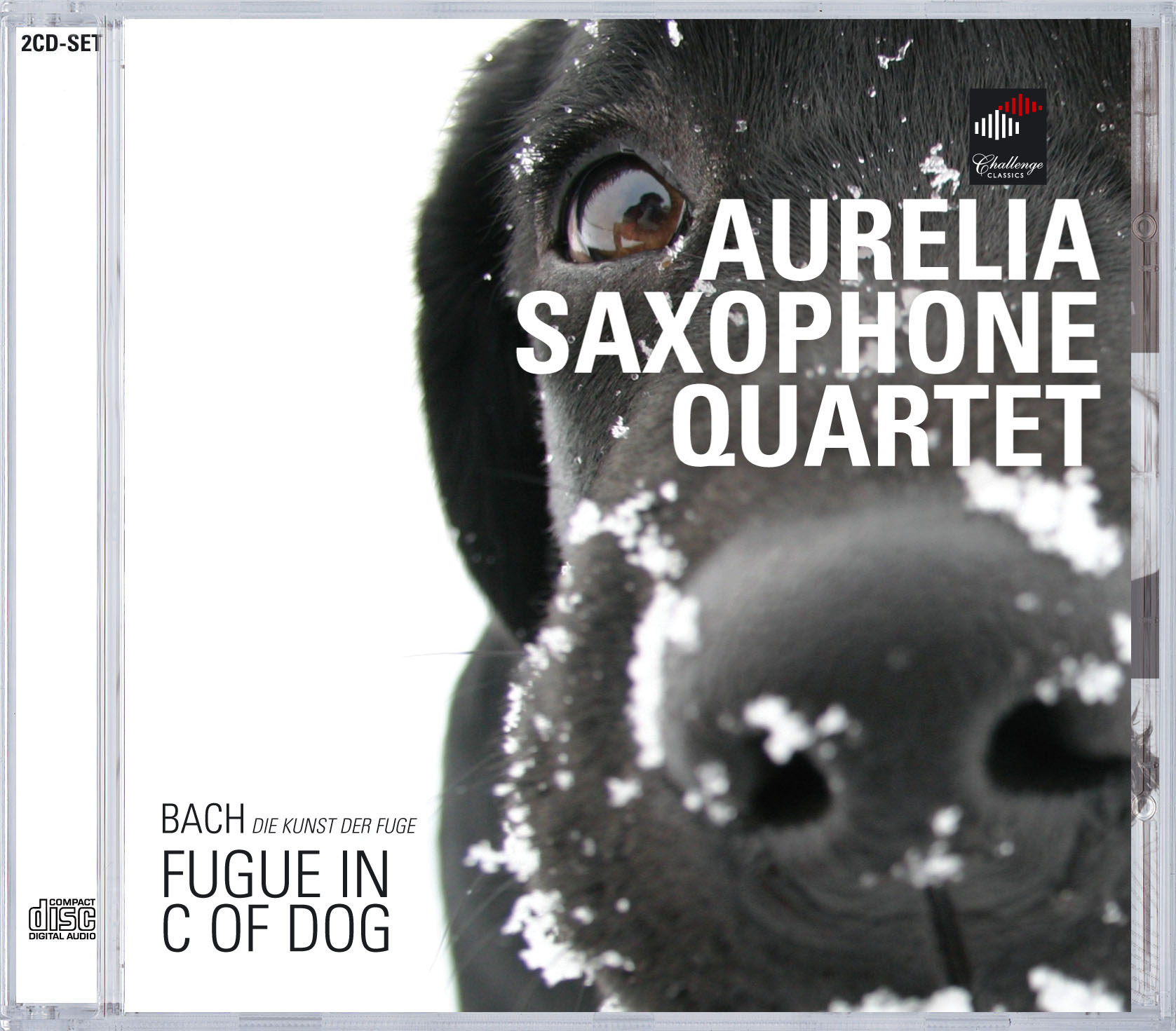 Cover: Fugue in C of Dog