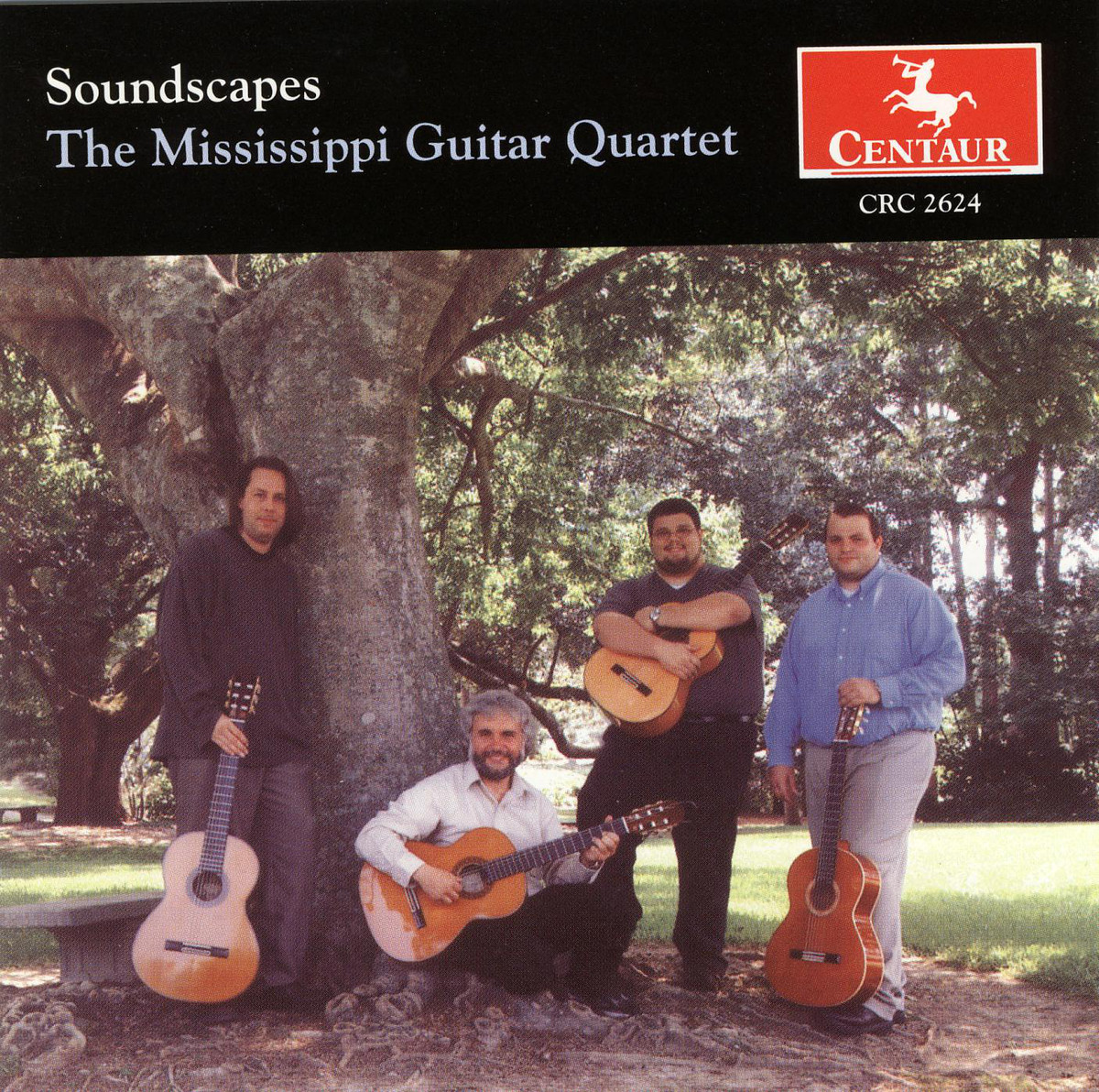 Cover: Soundscapes