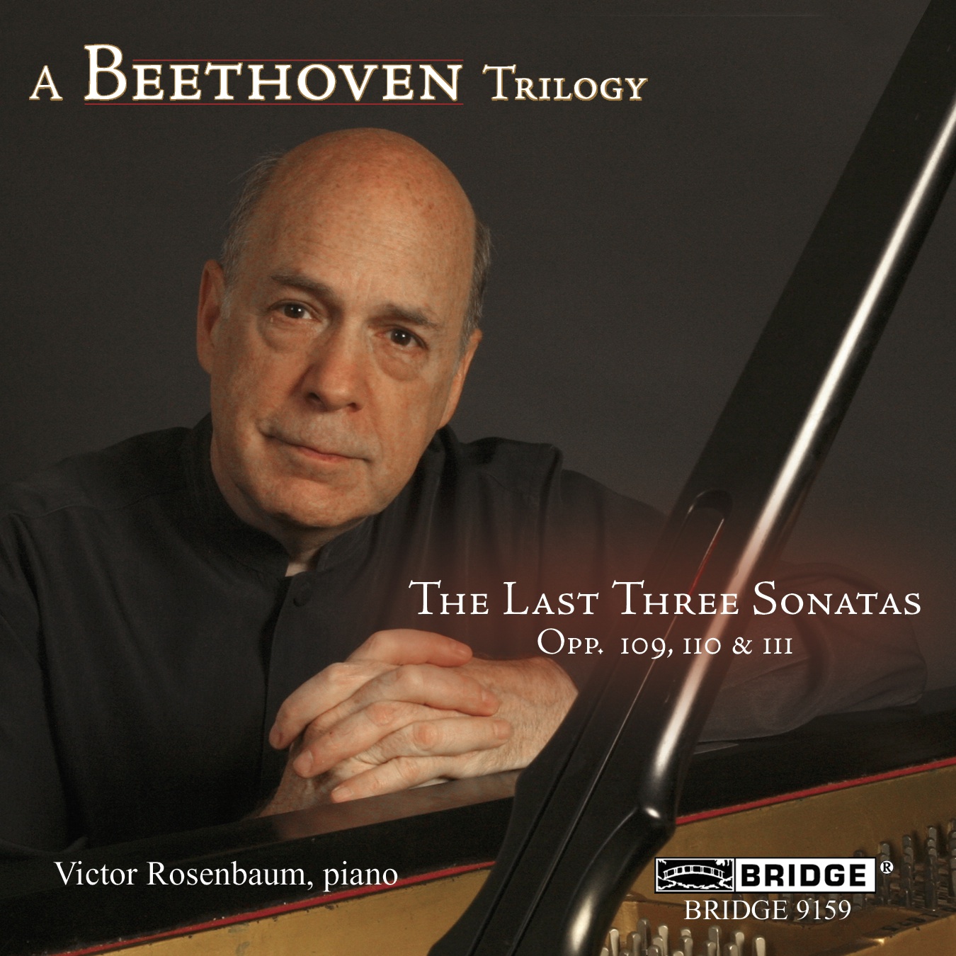Cover: THE LAST 3 SONATAS