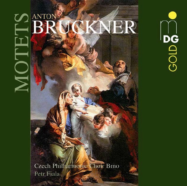 Cover: Motetten