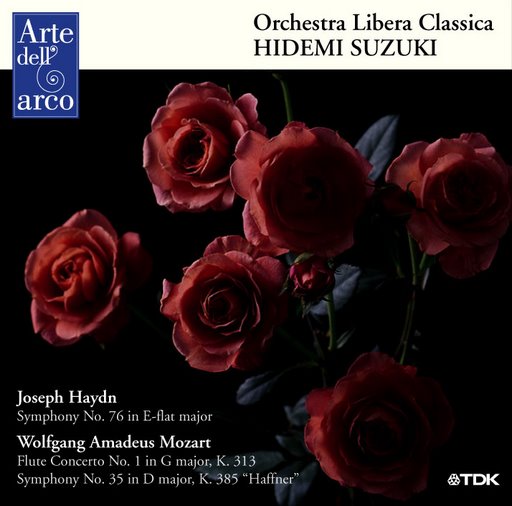 Cover: Symphony 76/Flute Concerto