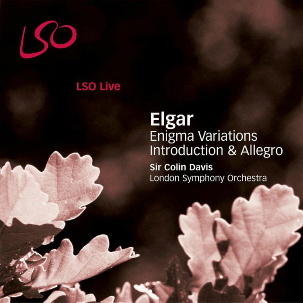 Cover: Enigma Variations/Introduction & Allegro