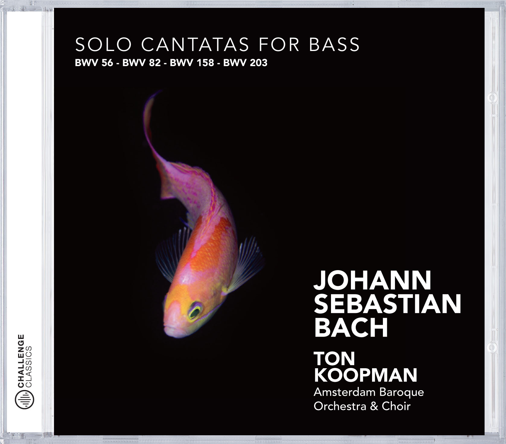 Cover: Solo Cantatas for Bass