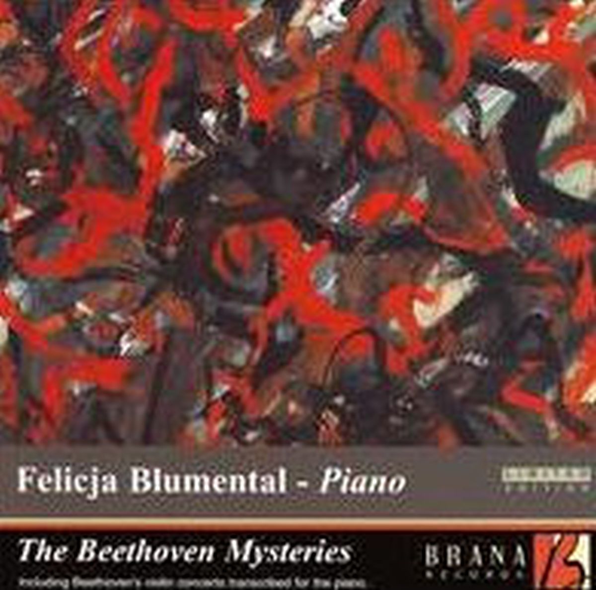 Cover: The Beethoven Mysteries