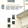 Cover: Johann Sebastian Bach: Brandenburg Cto No 6; Viola da Gamba Sonata BWV 1029; Trio sonata BWV 1079; Violin sonata in F mi