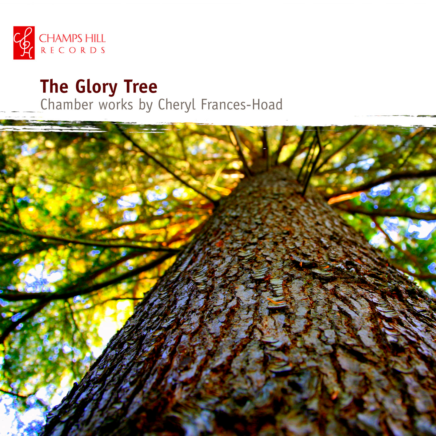 Cover: Glory Tree
