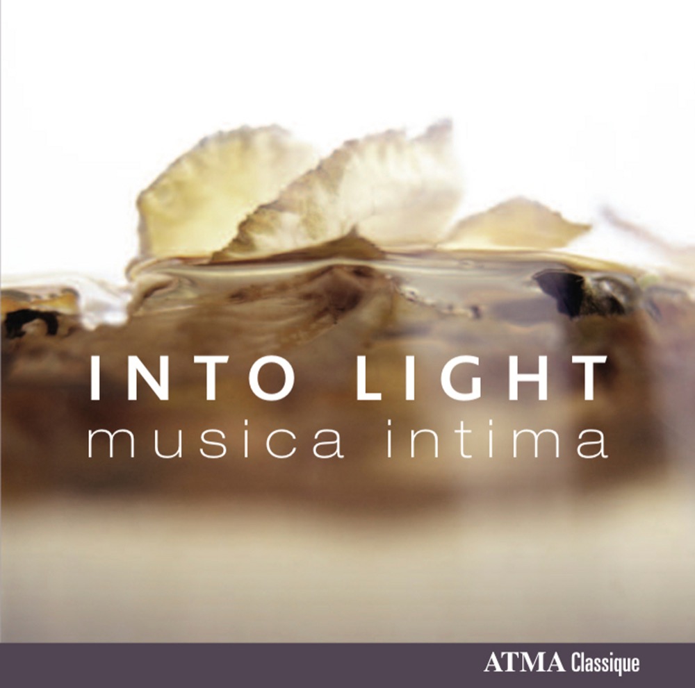 Cover: Into The Light