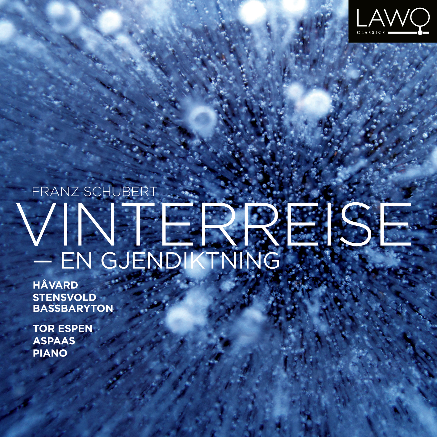 Cover: Vinterreise - en gjendiktning (IN NORWEGIAN)