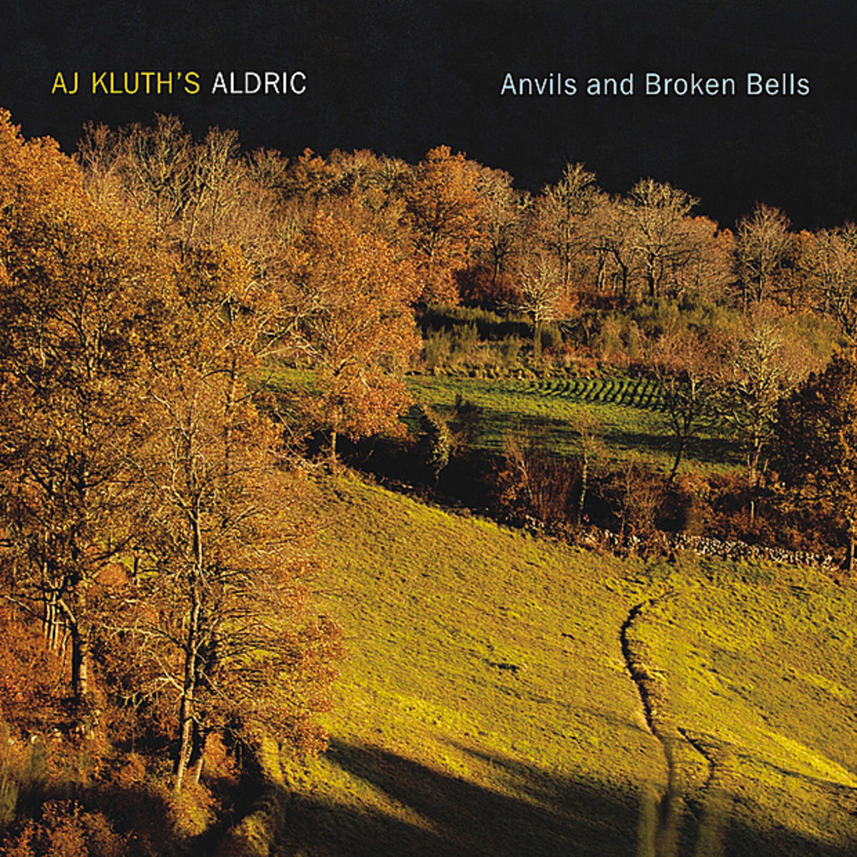 Cover: Anvils & Broken Bells