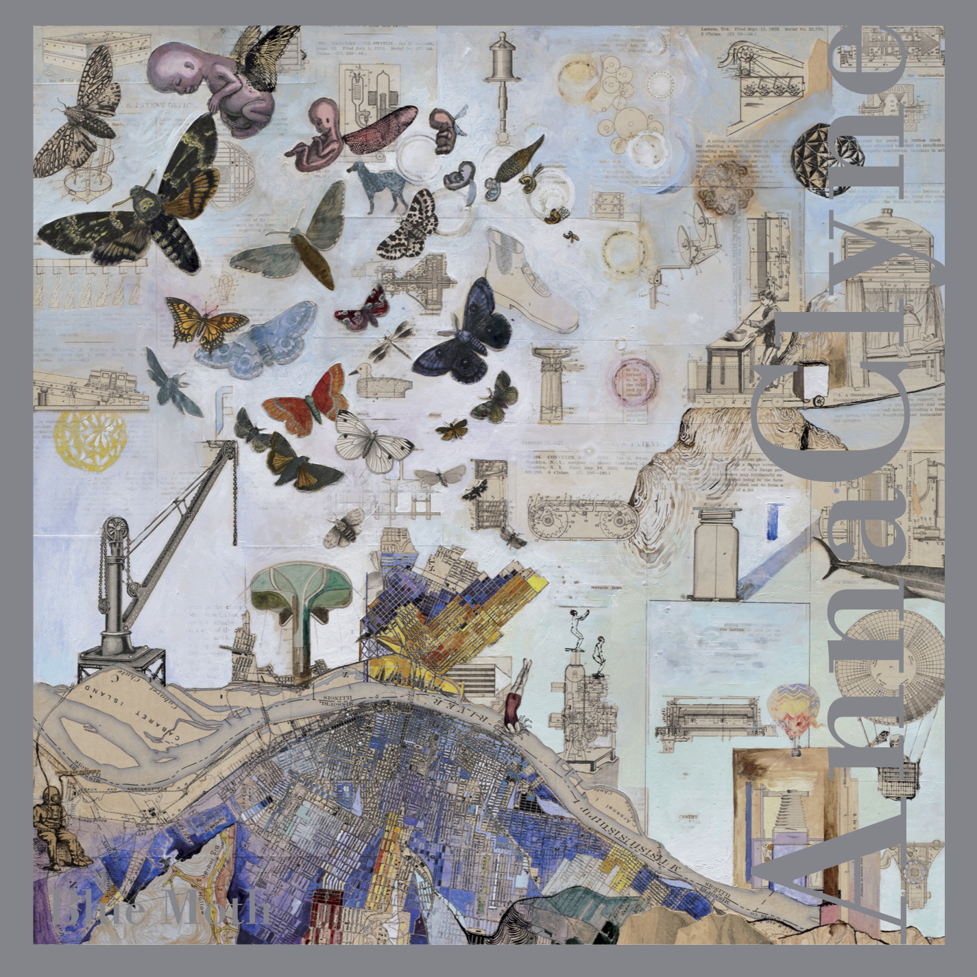 Cover: Blue Moth