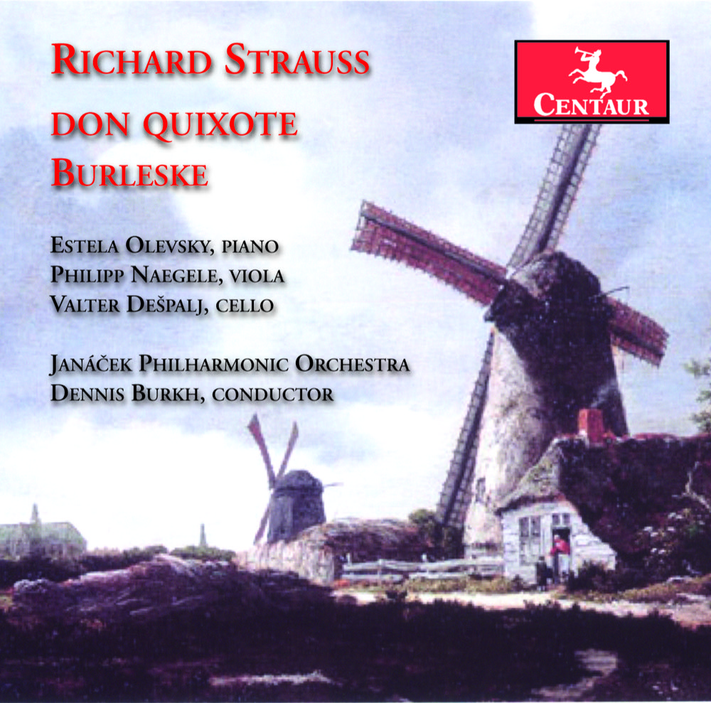 Cover: Burleske In D Min For Piano And Orchestra/...