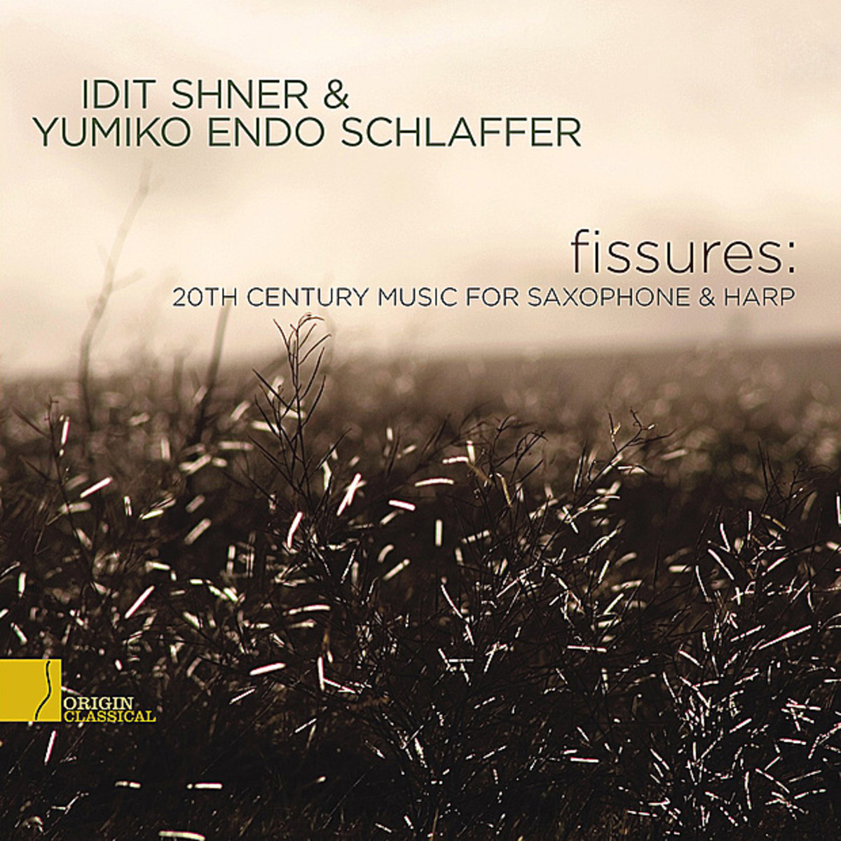 Cover: Fissures: 20th Century Music For Saxophone & Harp
