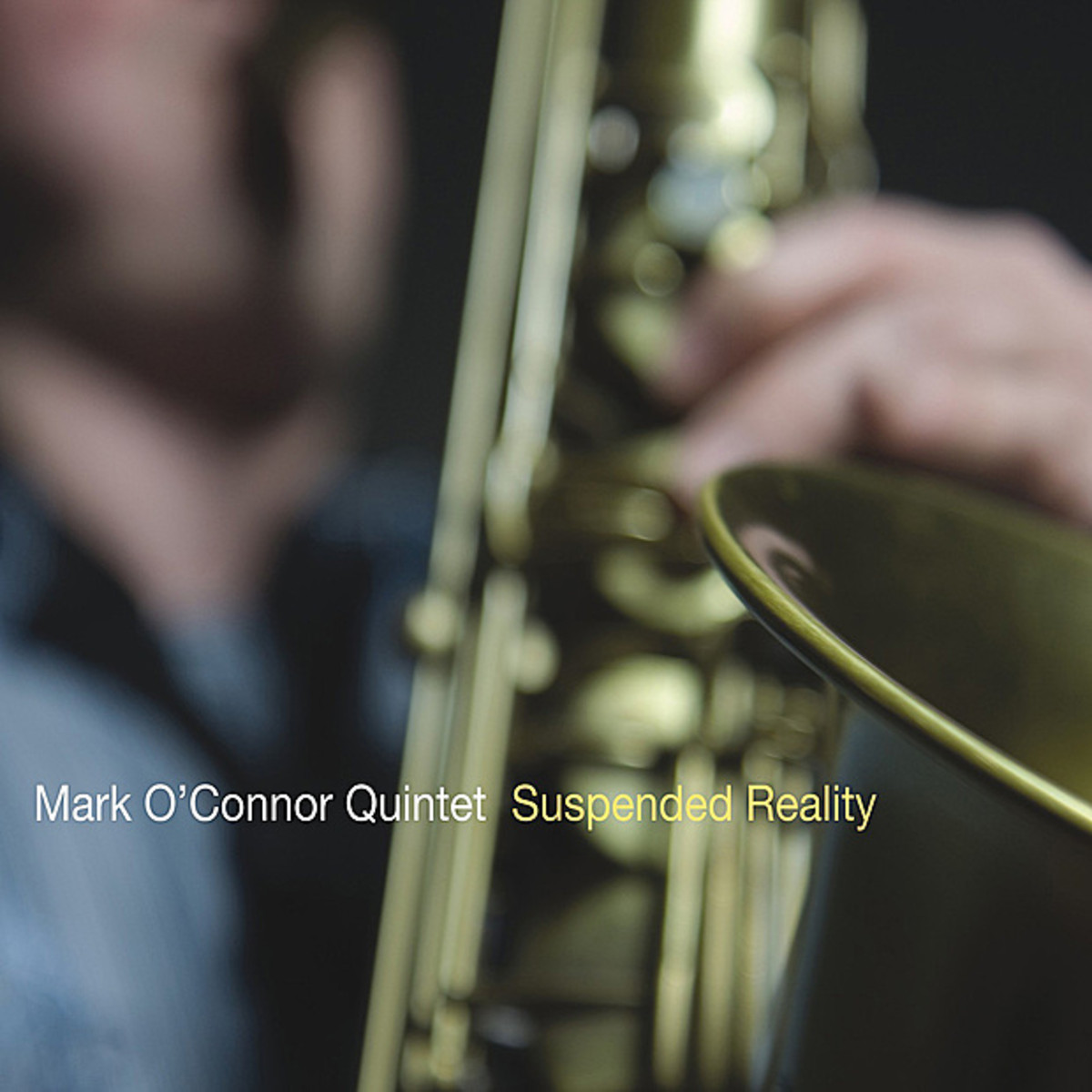 Cover: Suspended Reality