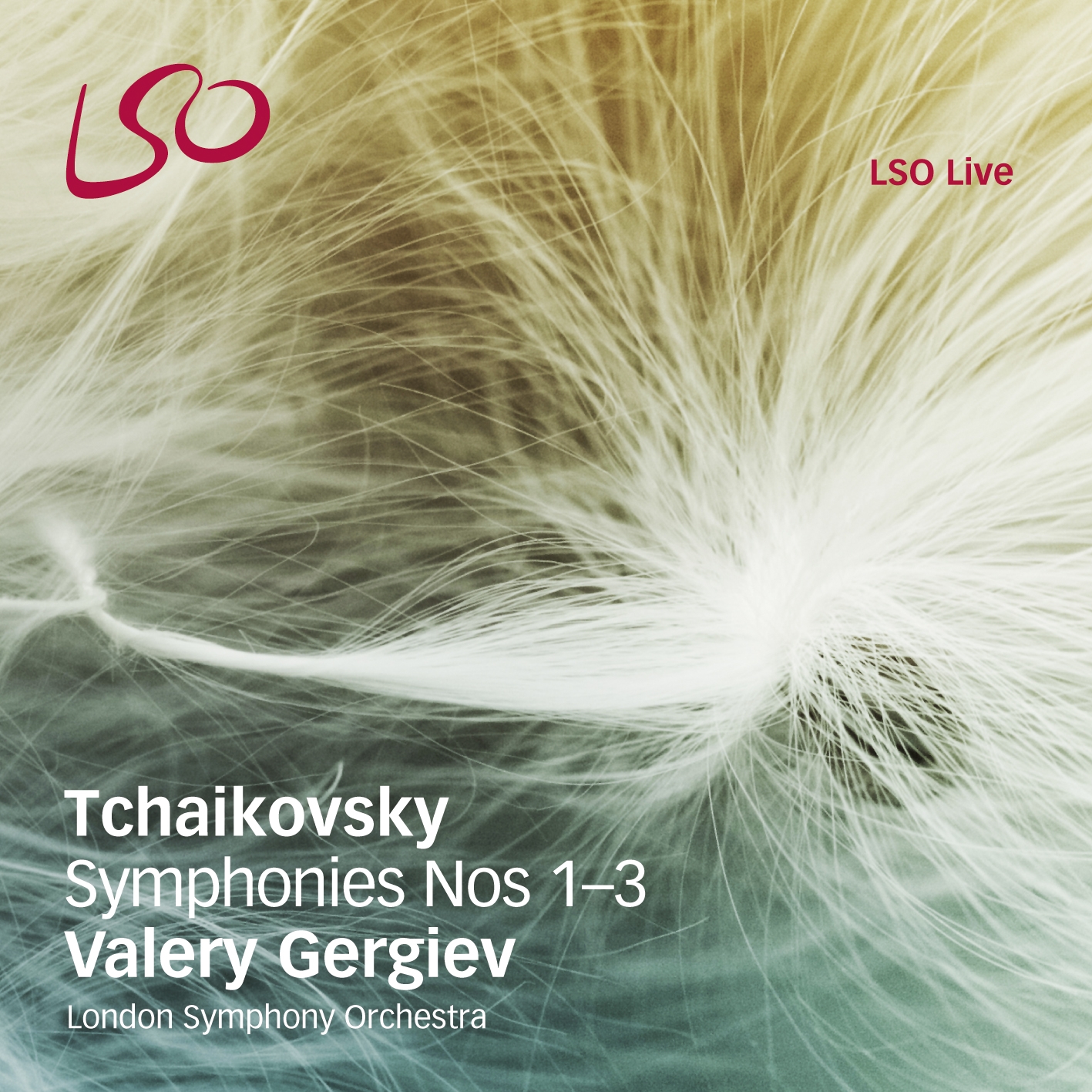 Cover: Symphonies Nos.1 - 3