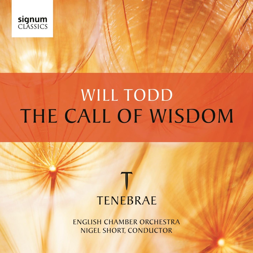 Cover: The Call of Wisdom