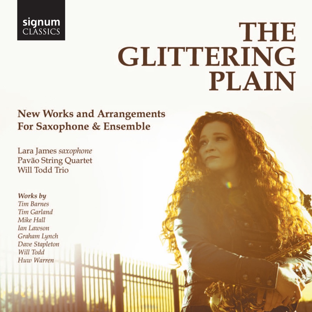 Cover: The Glittering Plain