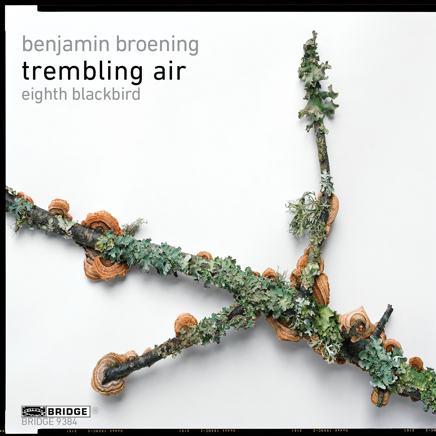 Cover: Trembling Air