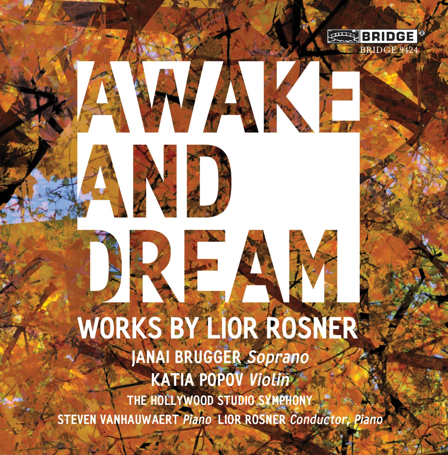Cover: Awake and Dream