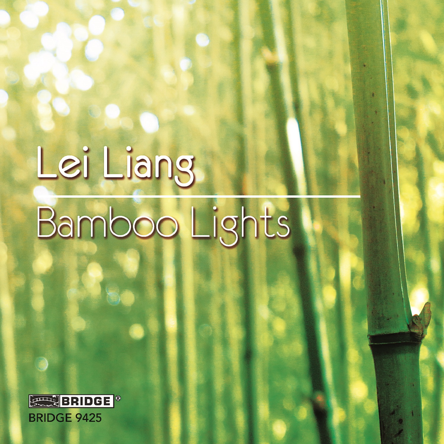 Cover: Bamboo Lights