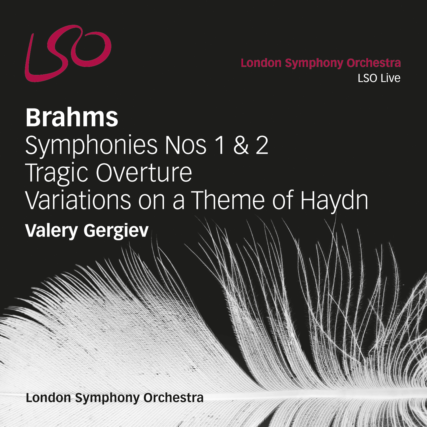 Cover: Brahms: Symphonies Nos. 1 & 2