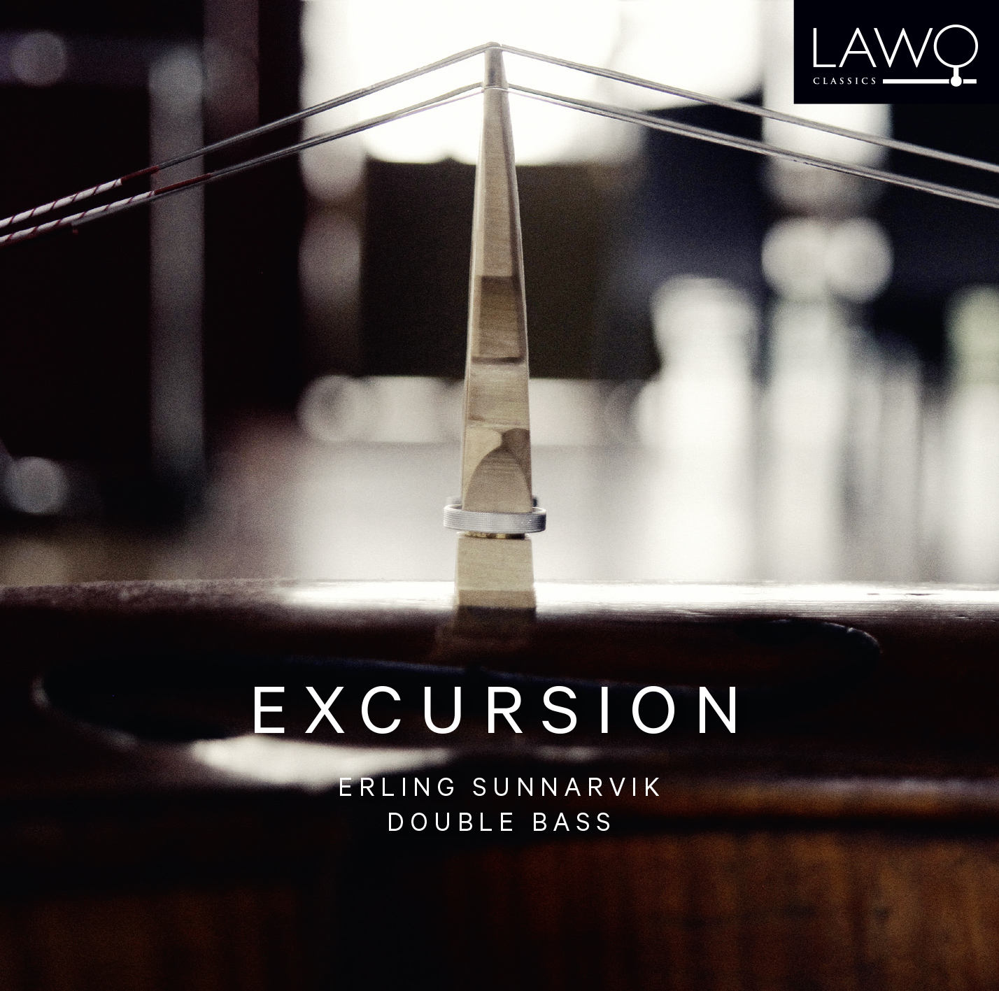 Cover: Excursion, Music for double bass