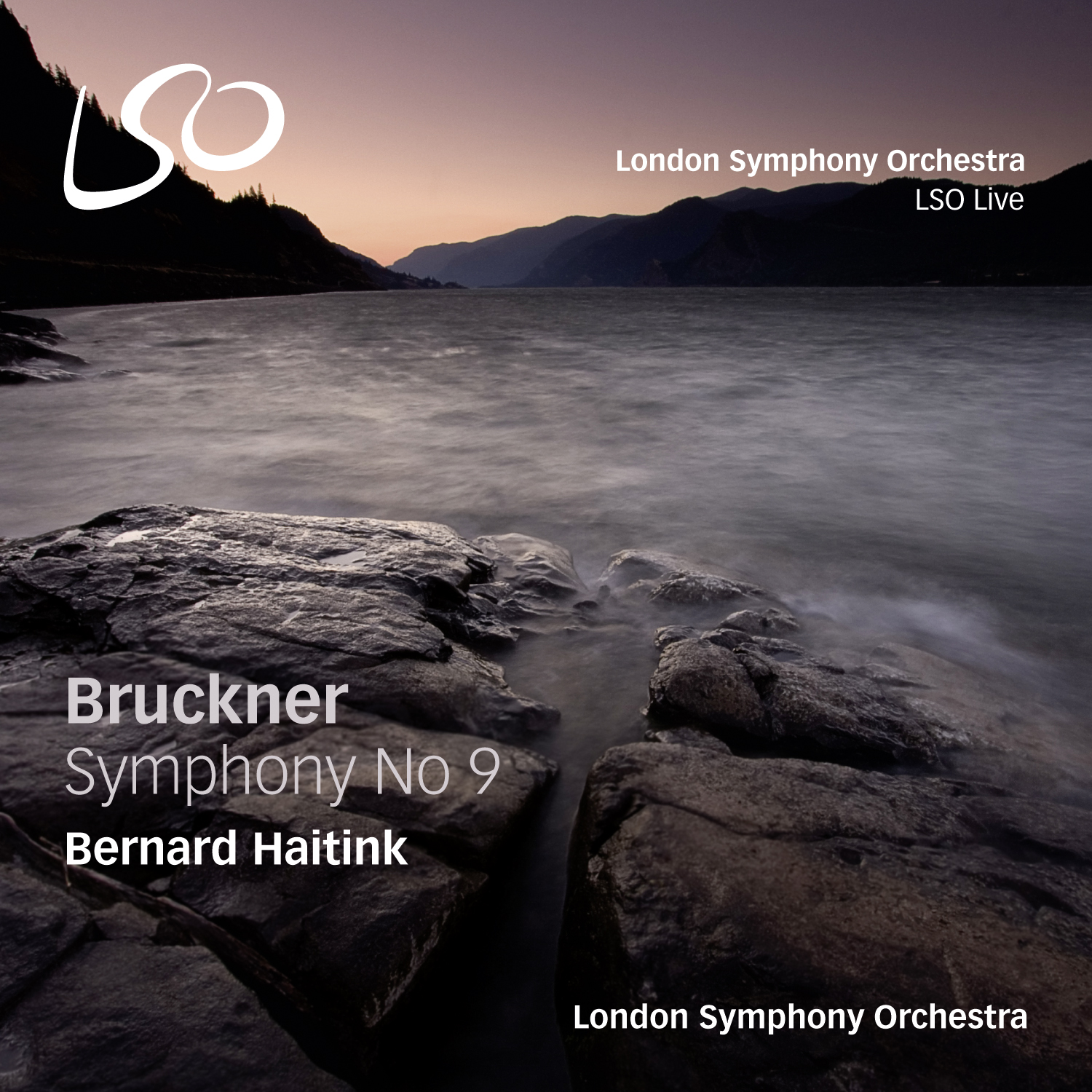 Cover: Symphony No. 9