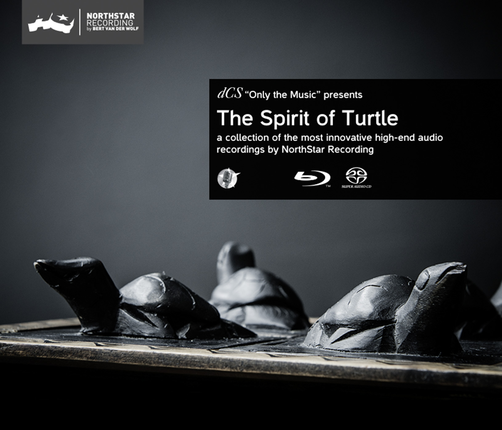 Cover: The Spirit Of Turtle [Longbox]