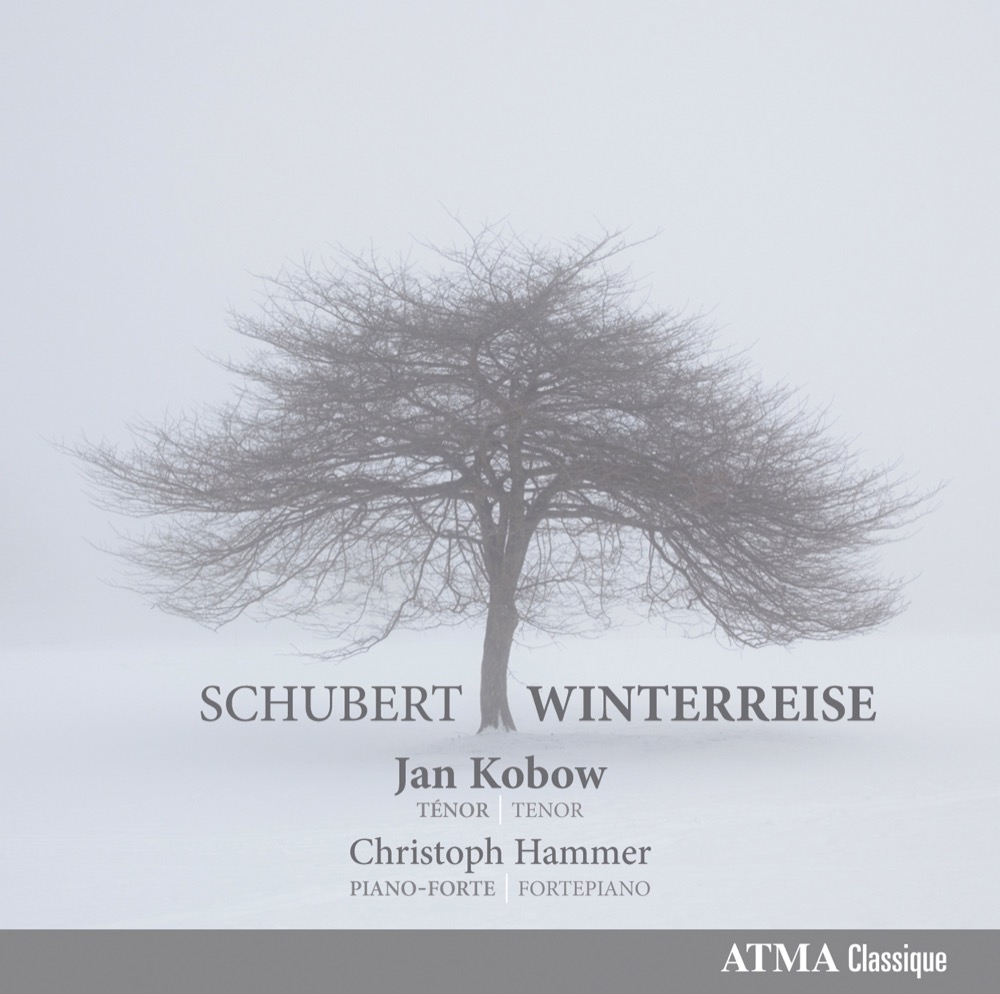 Cover: Winterreise