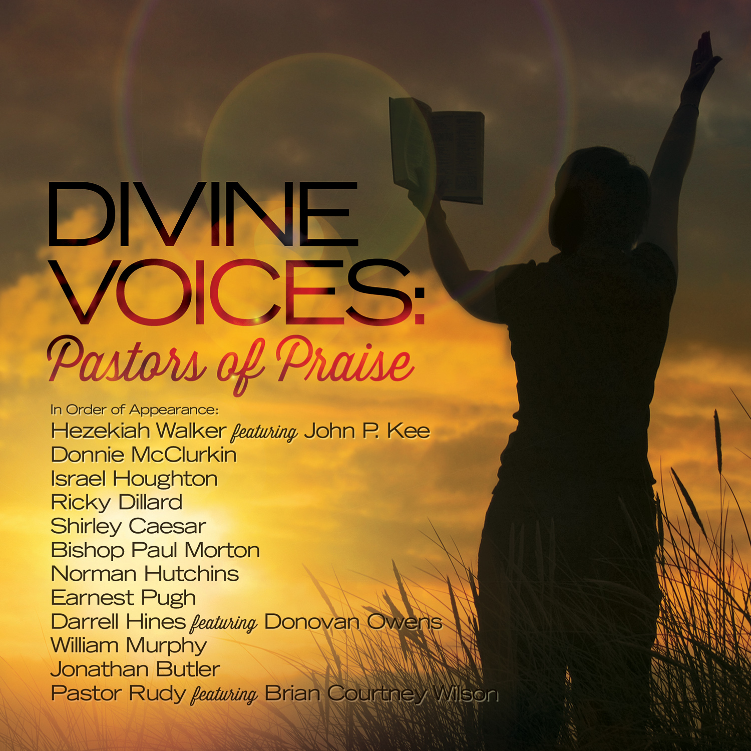 Cover: Divine Voices