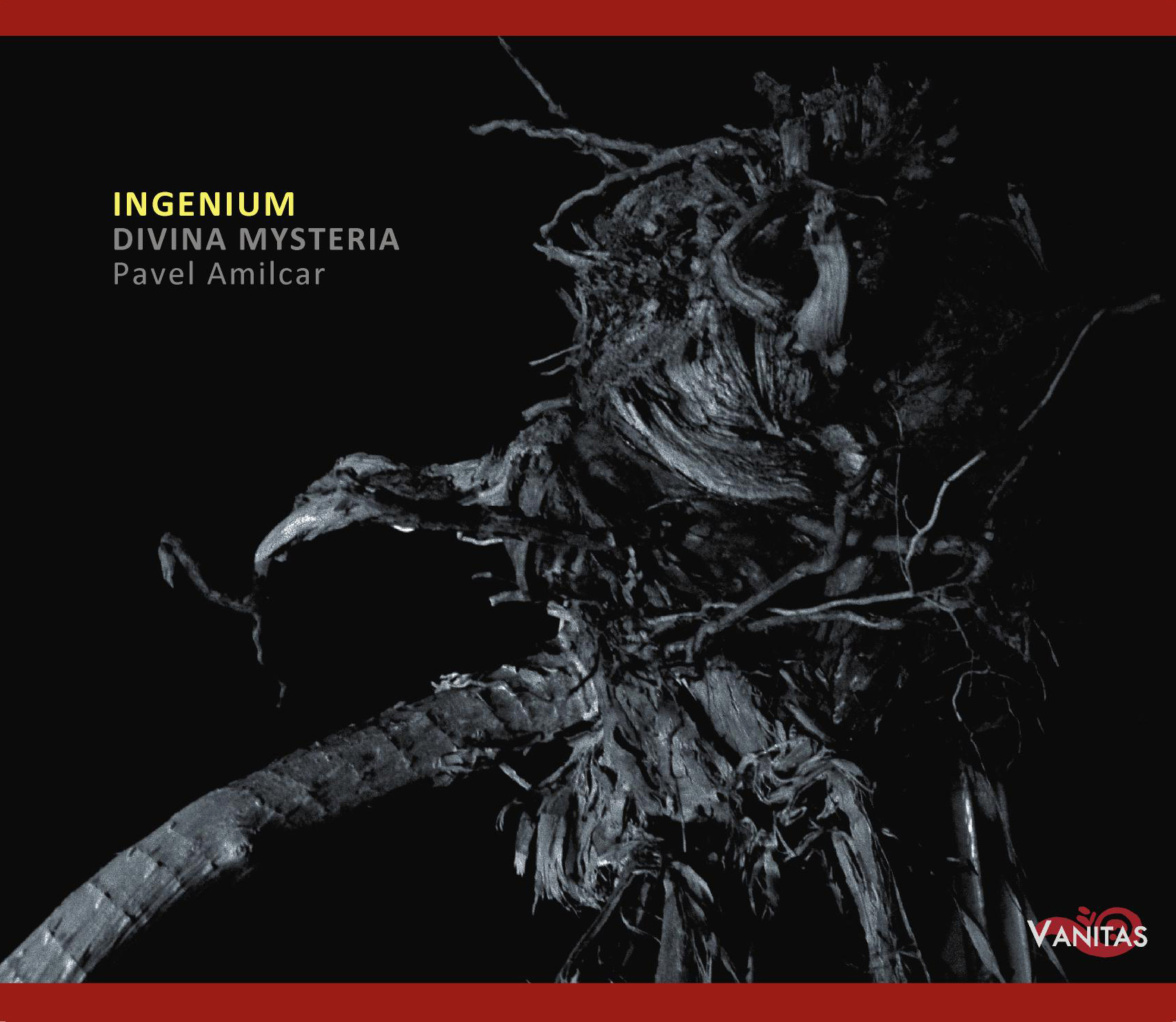 Cover: Ingenium - Stylus Phantasticus