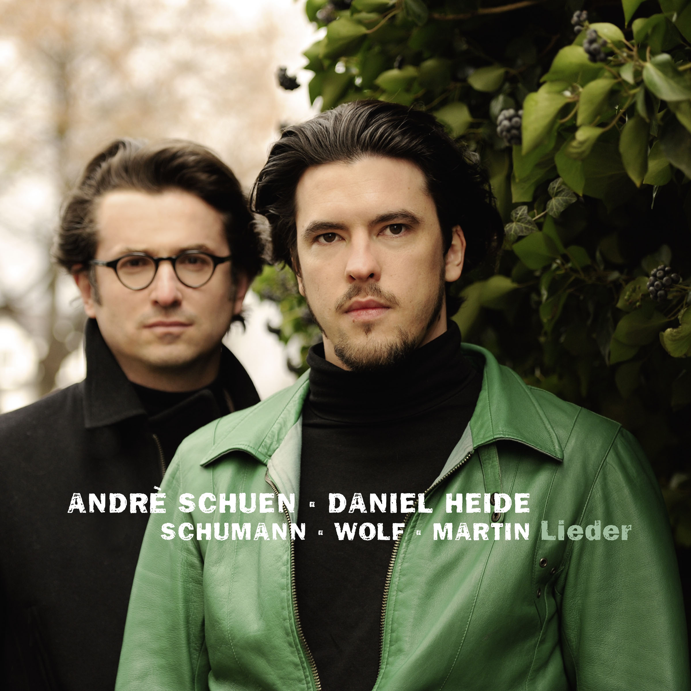 Cover: Lieder