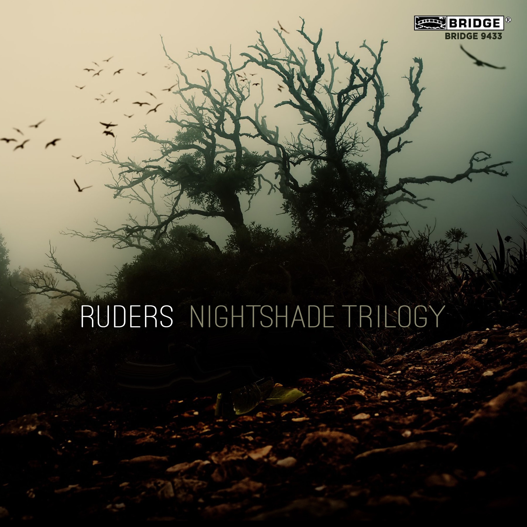 Cover: Ruders: Nightshade Trilogy