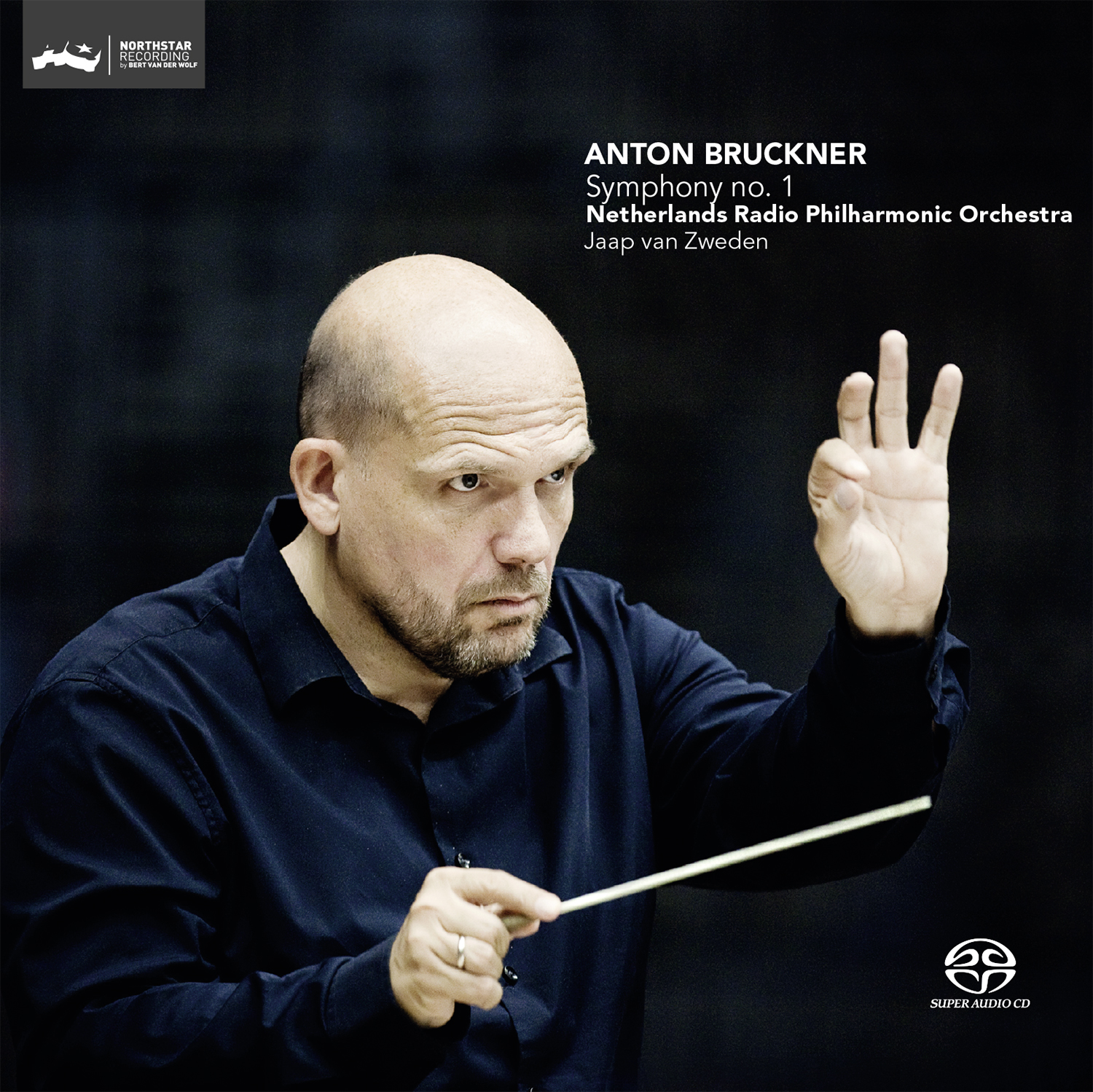 Cover: Symphony no. 1 in C Minor