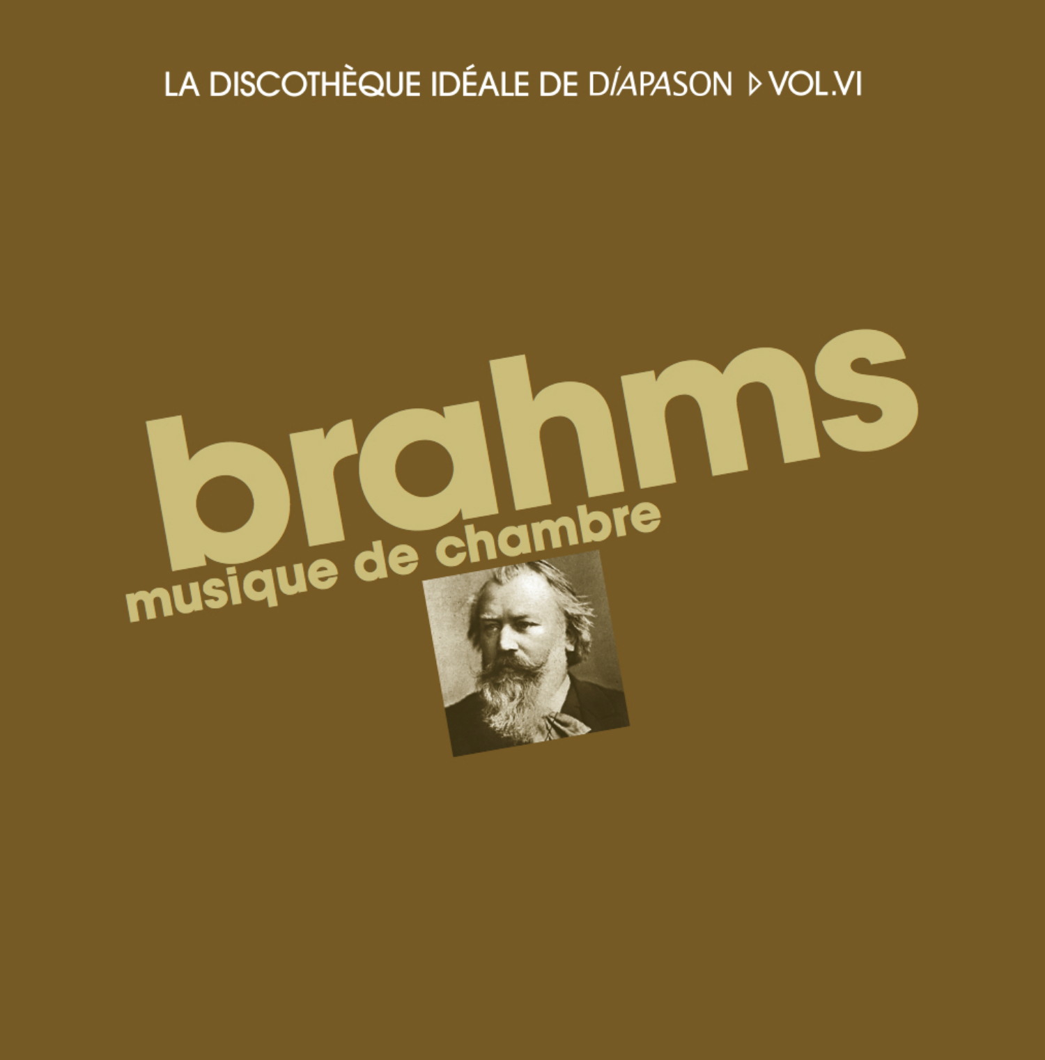 Cover: Brahms musique de chambre 12 CD