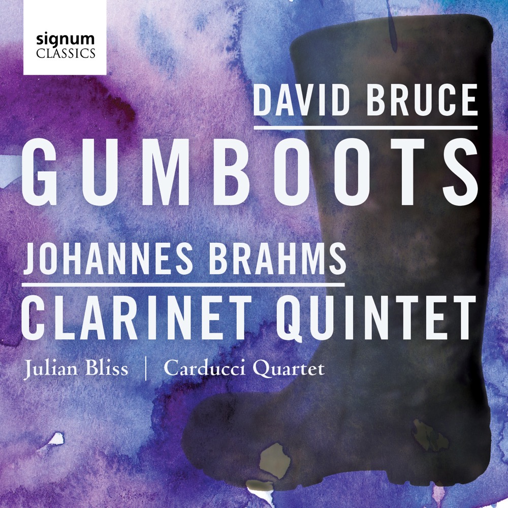 Cover: Gumboots / Clarinet Quintet