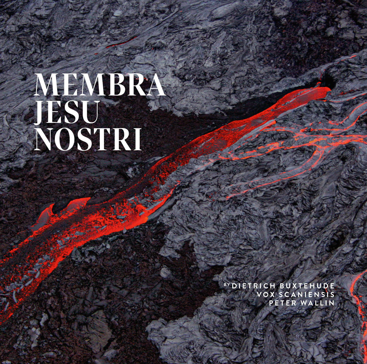 Cover: Membra Jesu Nostri