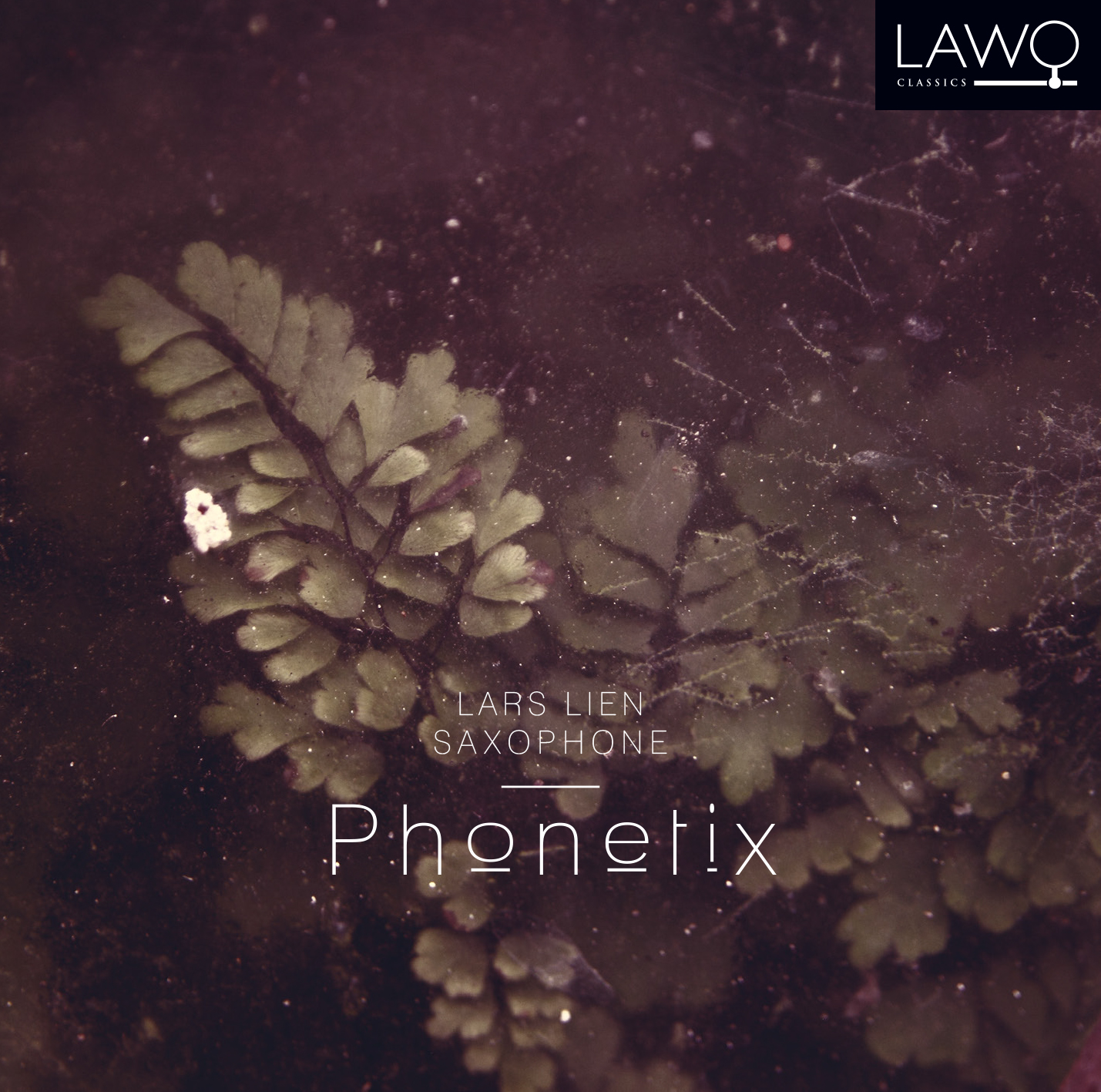 Cover: Phonetix