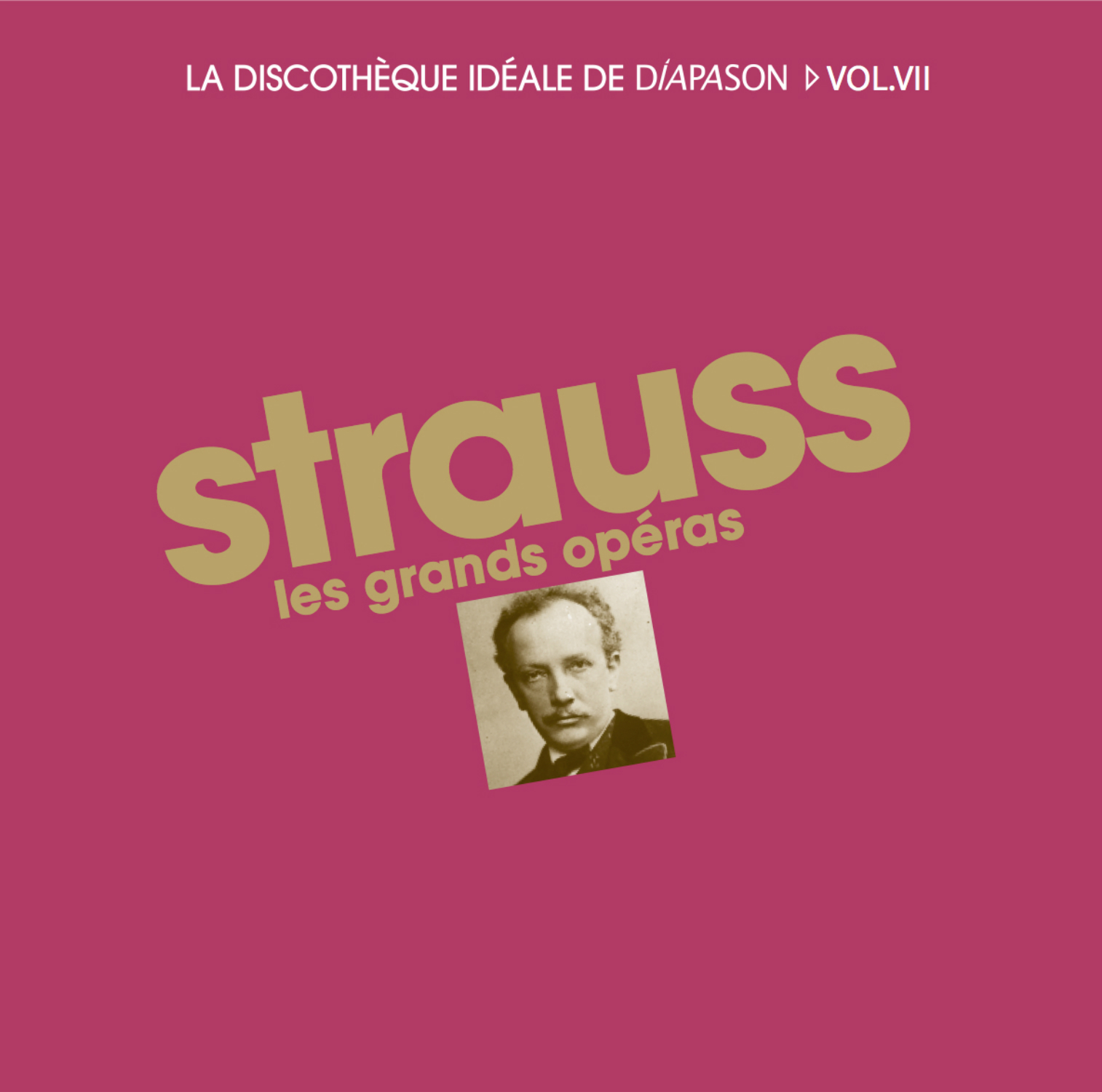 Cover: Strauss les grands opéras 15 CD
