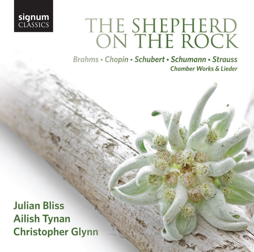 Cover: The Shepherd on the Rock