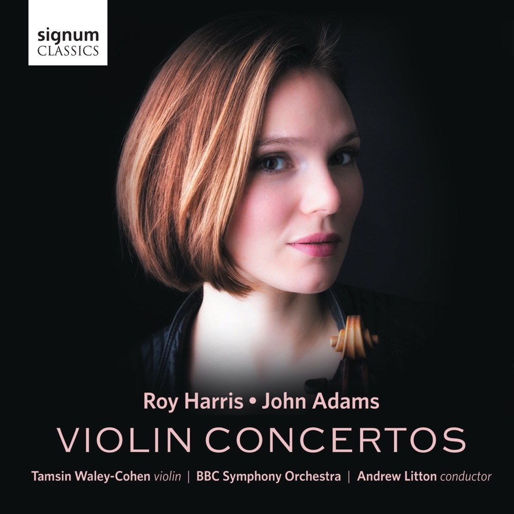 Cover: Violin Concertos
