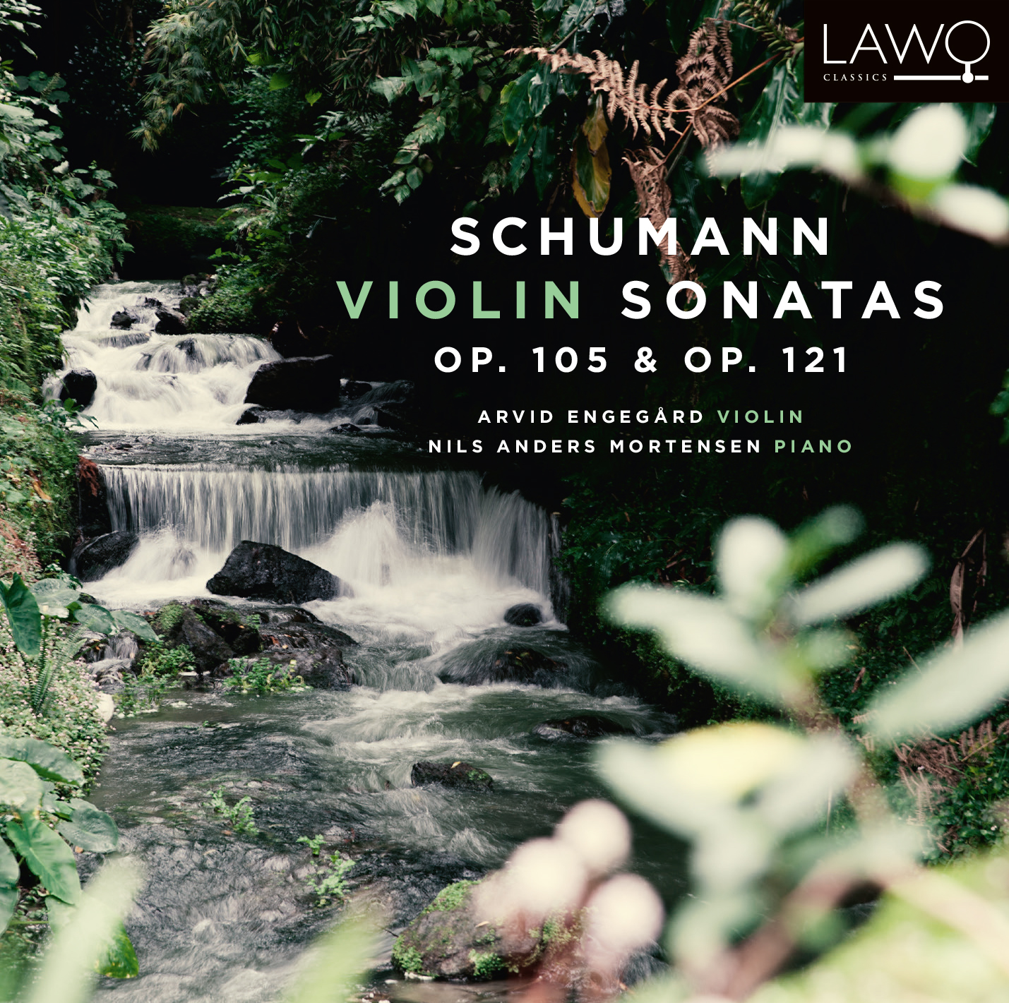 Cover: Violin Sonatas Op. 105 & Op. 121