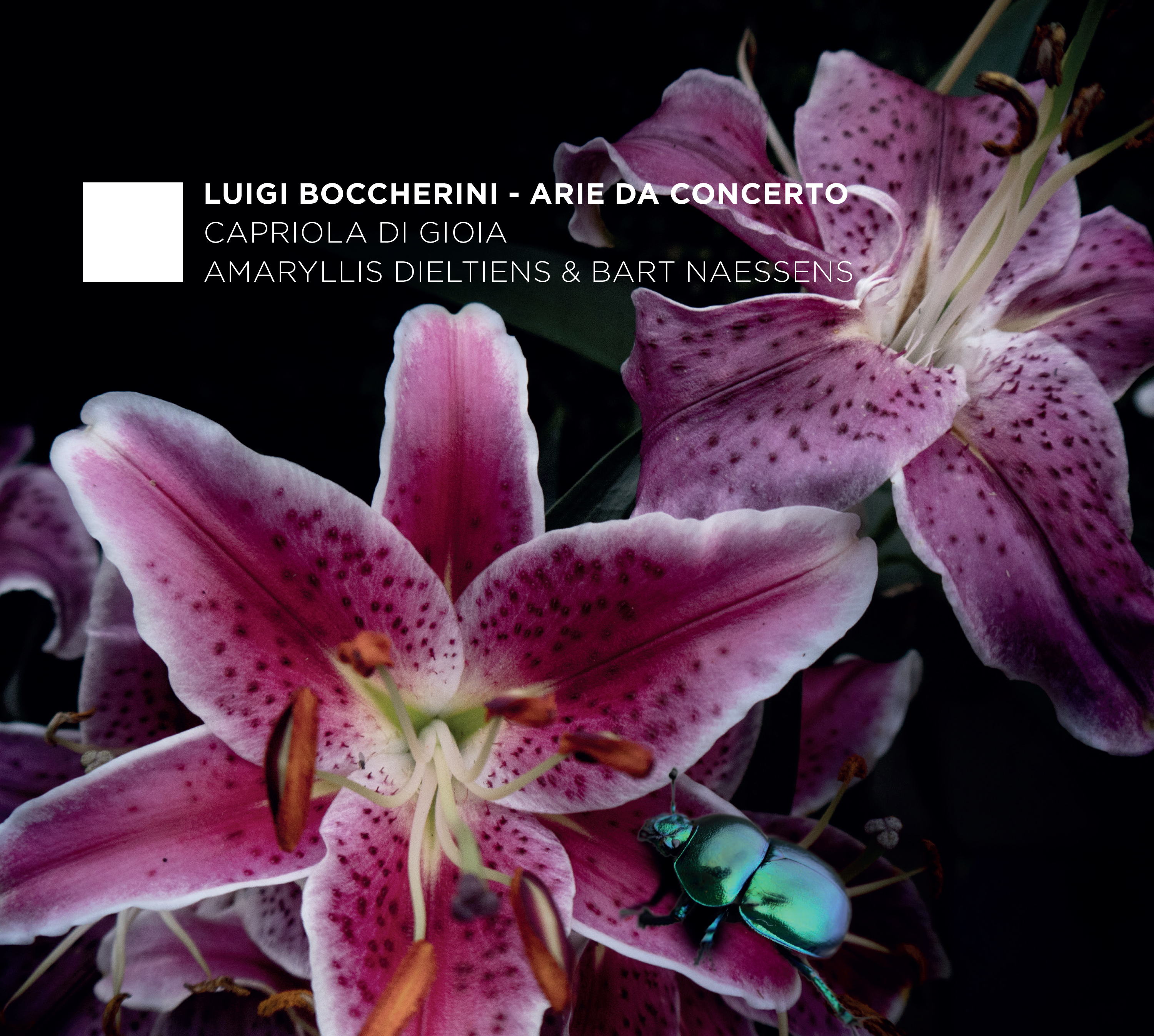 Cover: Arie da Concerto