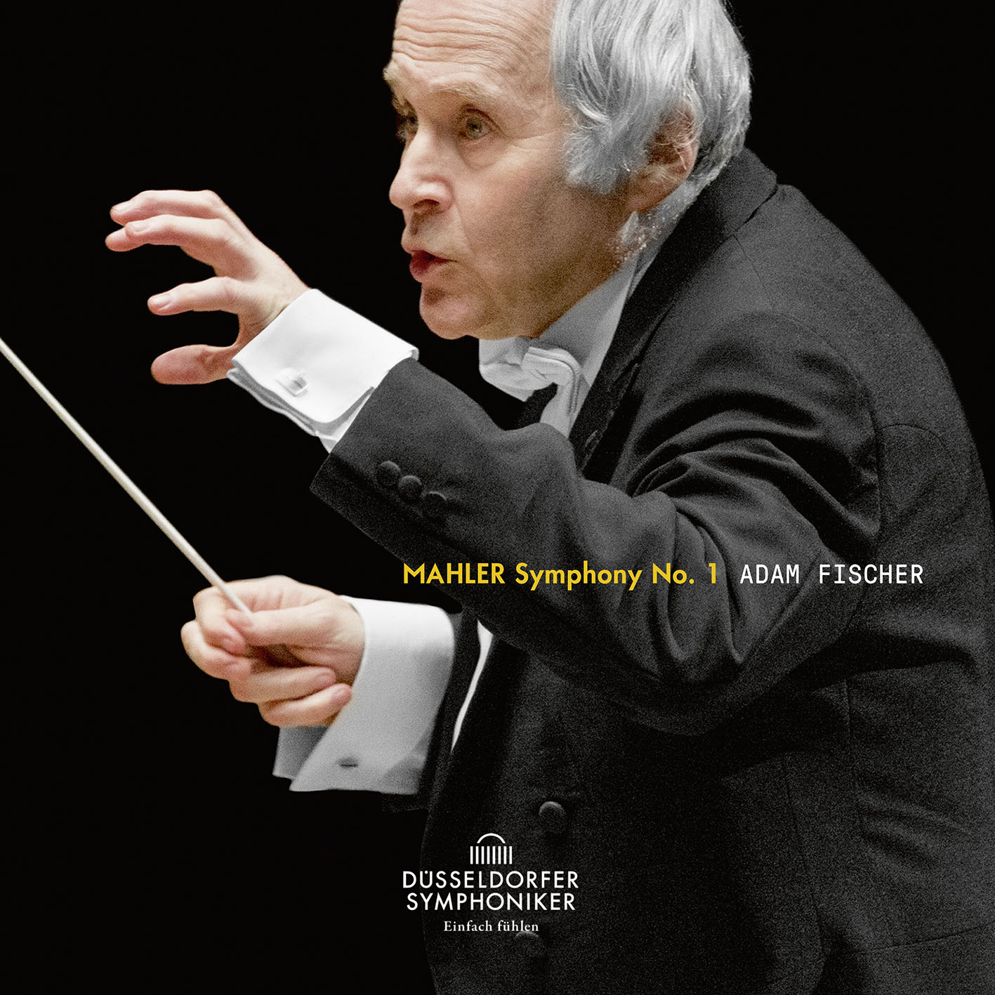 Cover: Mahler Symphony No. 1