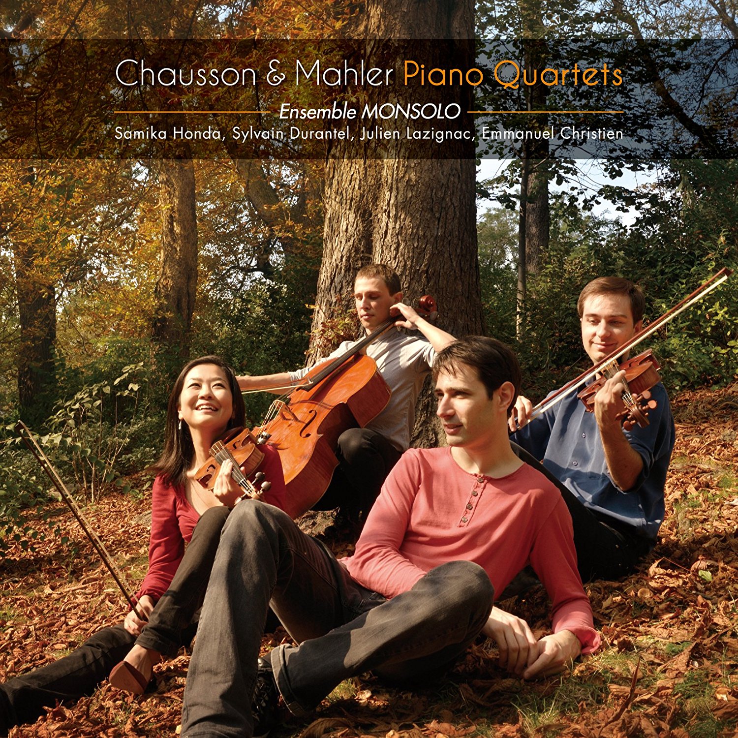 Cover: Piano Quartets
