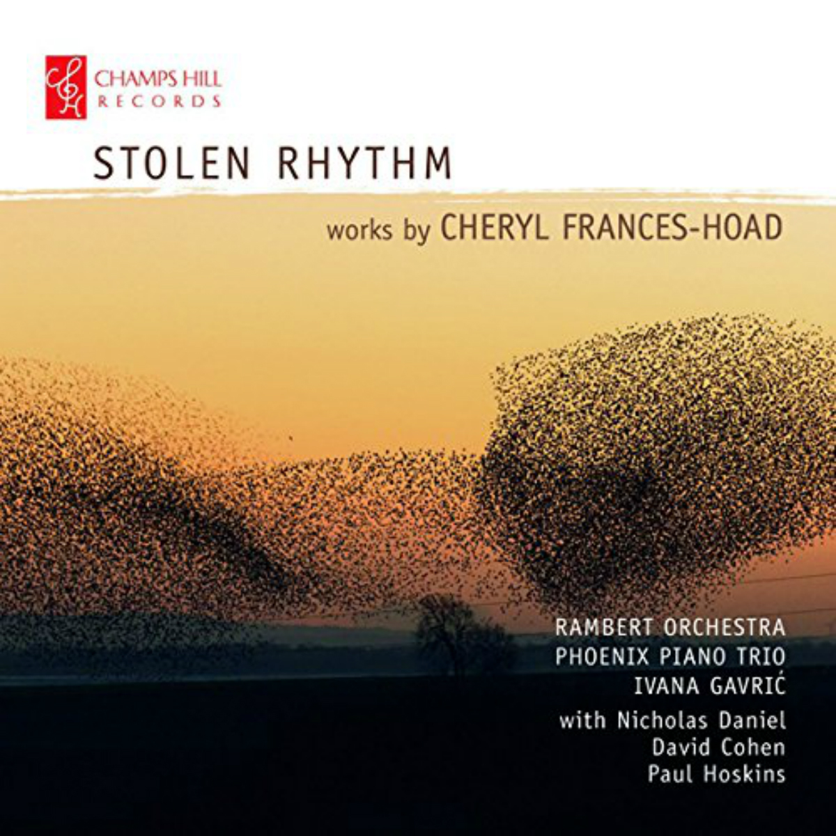 Cover: Stolen Rhythm