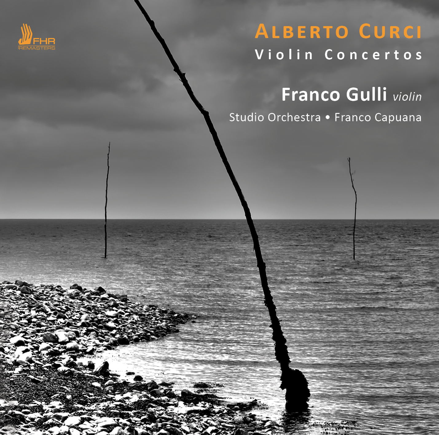 Cover: Violin Concertos