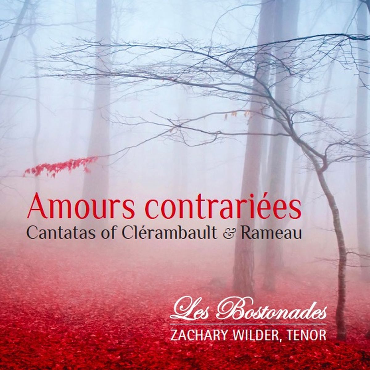 Cover: Amours contrariees