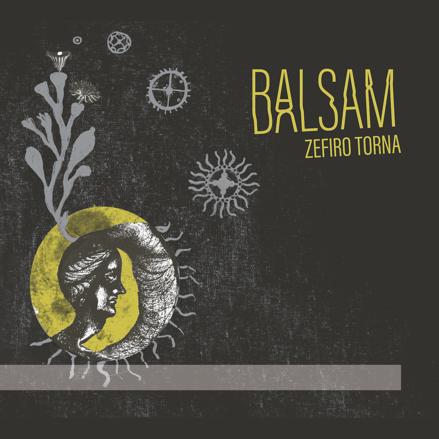 Cover: Balsam